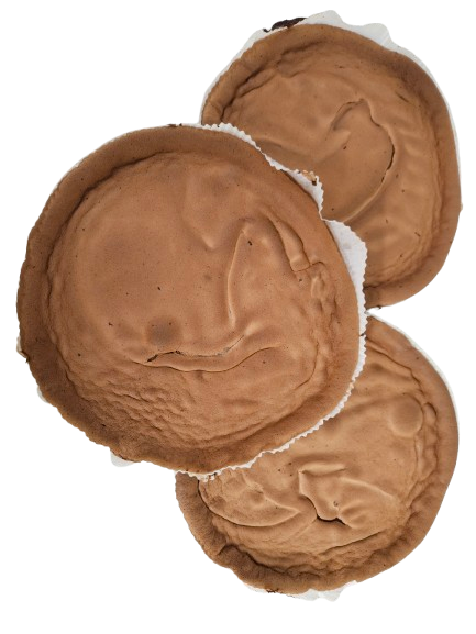 Lagkagebunde 3 stk. (mørk)